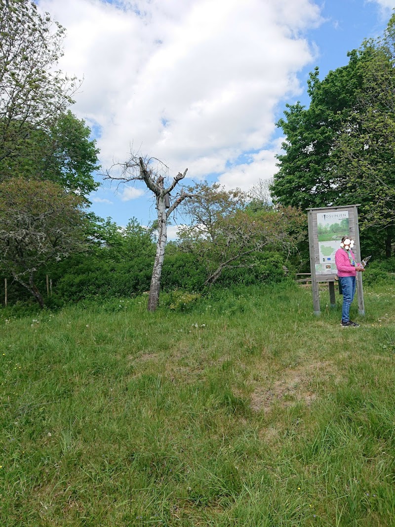 Ranahults naturreservat