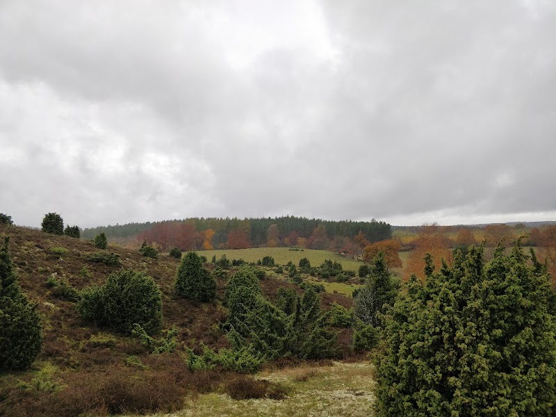 Lillehem nature reserve