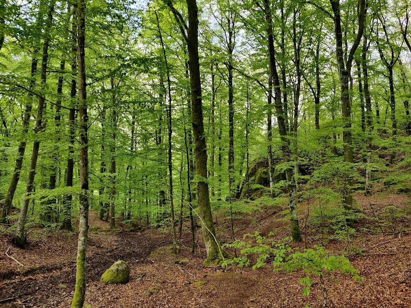 Anneröd-Hogsäm Naturreservat, entré Anneröd