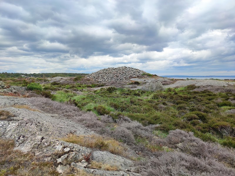 Näsbokrok
