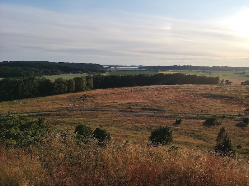 Naturreservat Fjärås Bräcka