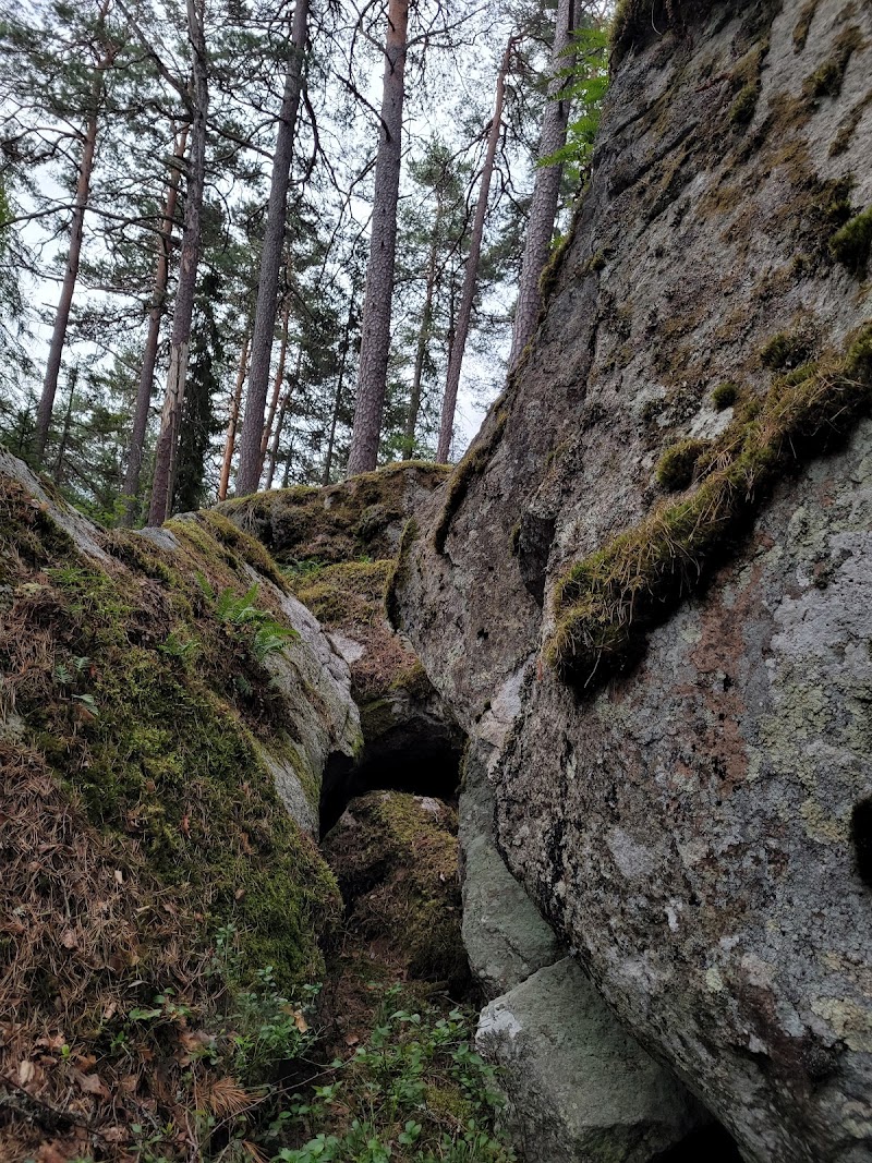 Storskogens naturreservat