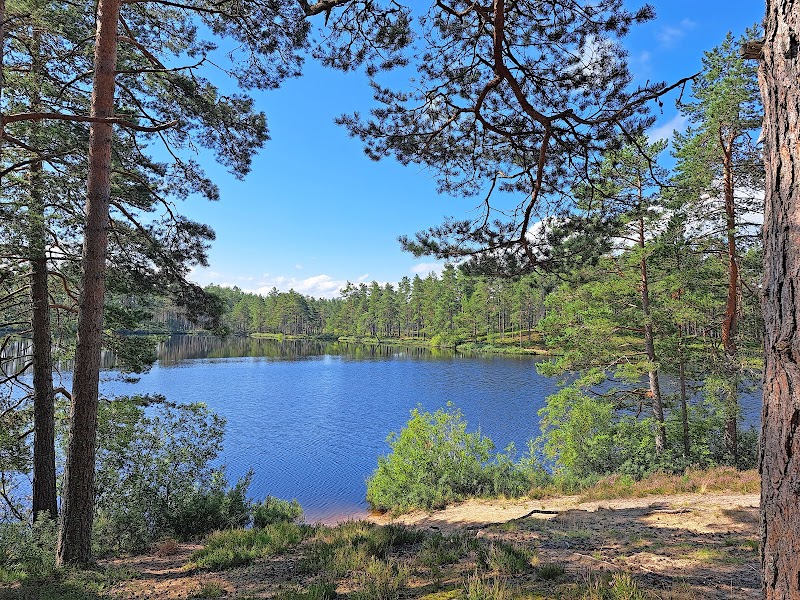Habomossens naturreservat